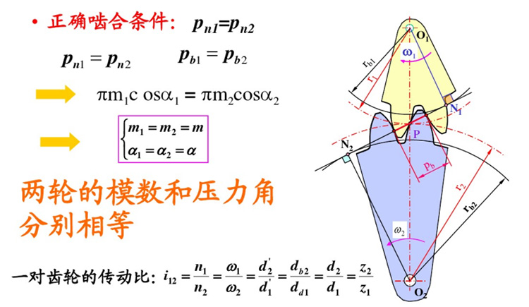 漸開線齒輪正確嚙合及連續(xù)傳動需要滿足的條件