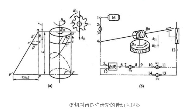 齒輪加工丨加工斜齒圓柱齒輪的傳動原理